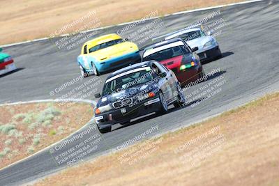 media/May-06-2023-Lucky Dog Racing (Sat) [[8f2256f436]]/Turn 2 10a/